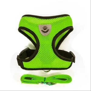 Dog or Cat Harness with Lead