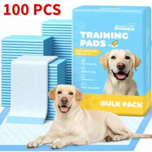34"x 28" X-Large Blue Dog Pee Pads