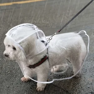 Transparent Waterproof Raincoat