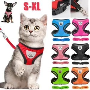 Pet Harness adjustable Leash